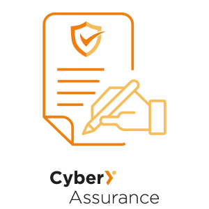 Cyber Assurance